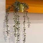 2-bed With A Charming Terrace At Intendente * リスボン