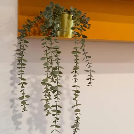 2-bed With A Charming Terrace At Intendente * Lisbon